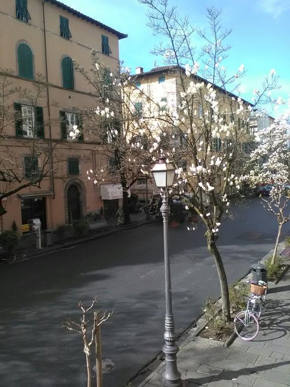 Sofia Apartamento Lucca