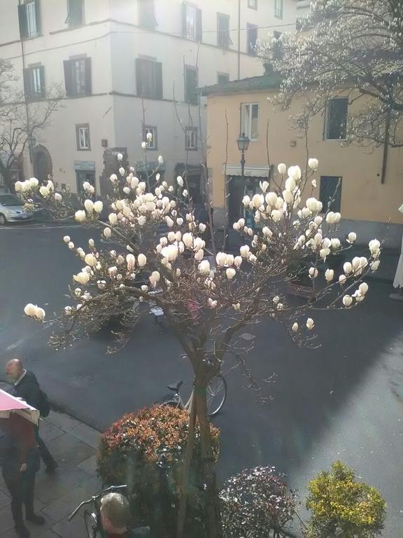 Appartement Sofia Lucques